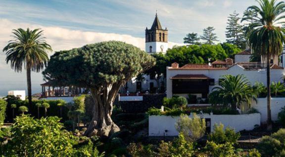 Icoden House & Perfect For You Icod De Los Vinos Exterior foto