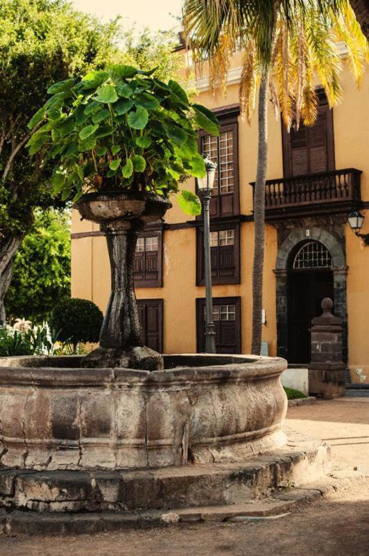 Icoden House & Perfect For You Icod De Los Vinos Exterior foto